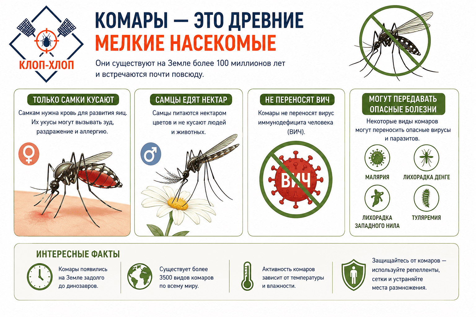 Интересные факты и развенчания мифов о комарах